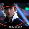 word表格为什么不能调整行高